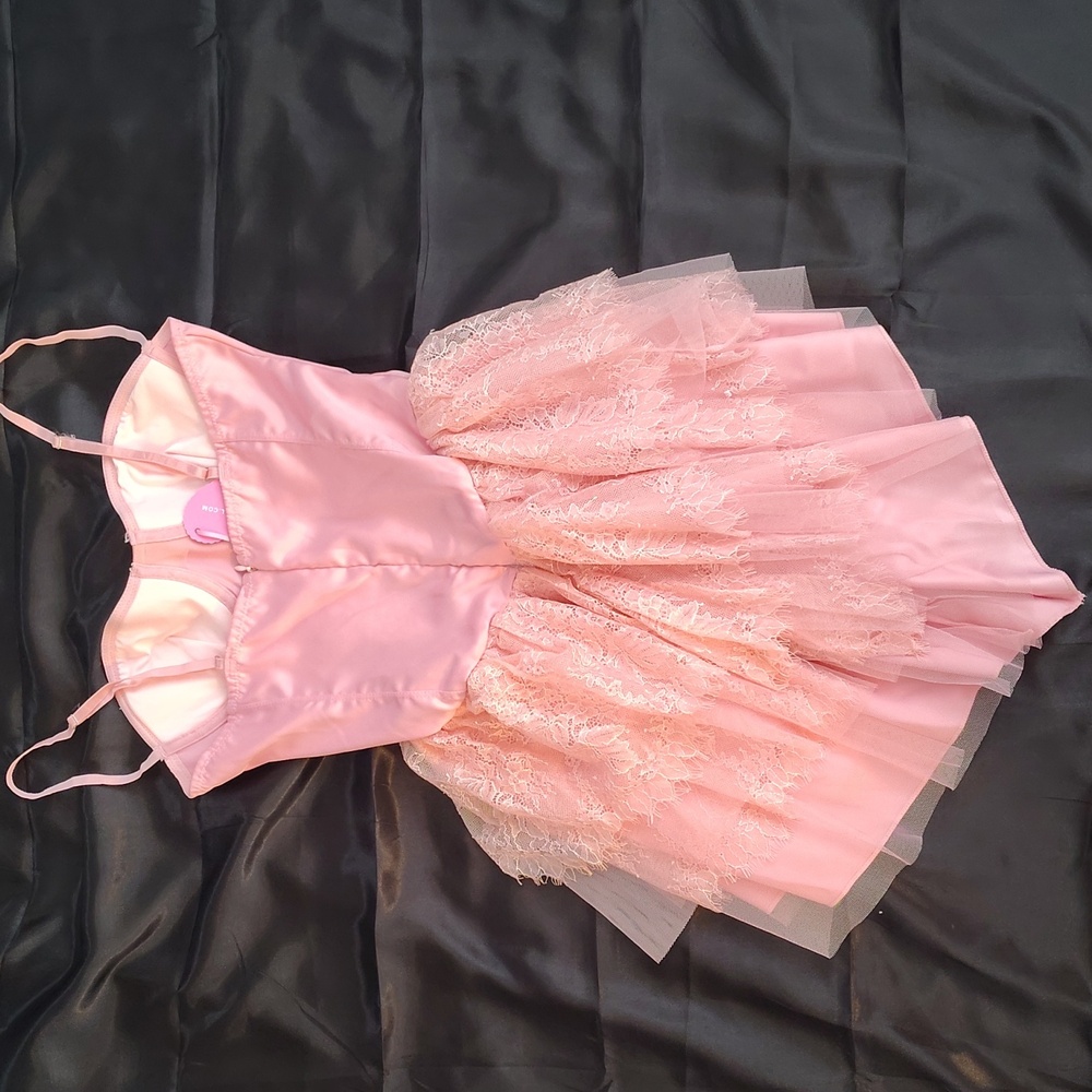 Sugar Thrillz Pink Lace Corset Dress - Picture 5 of 6